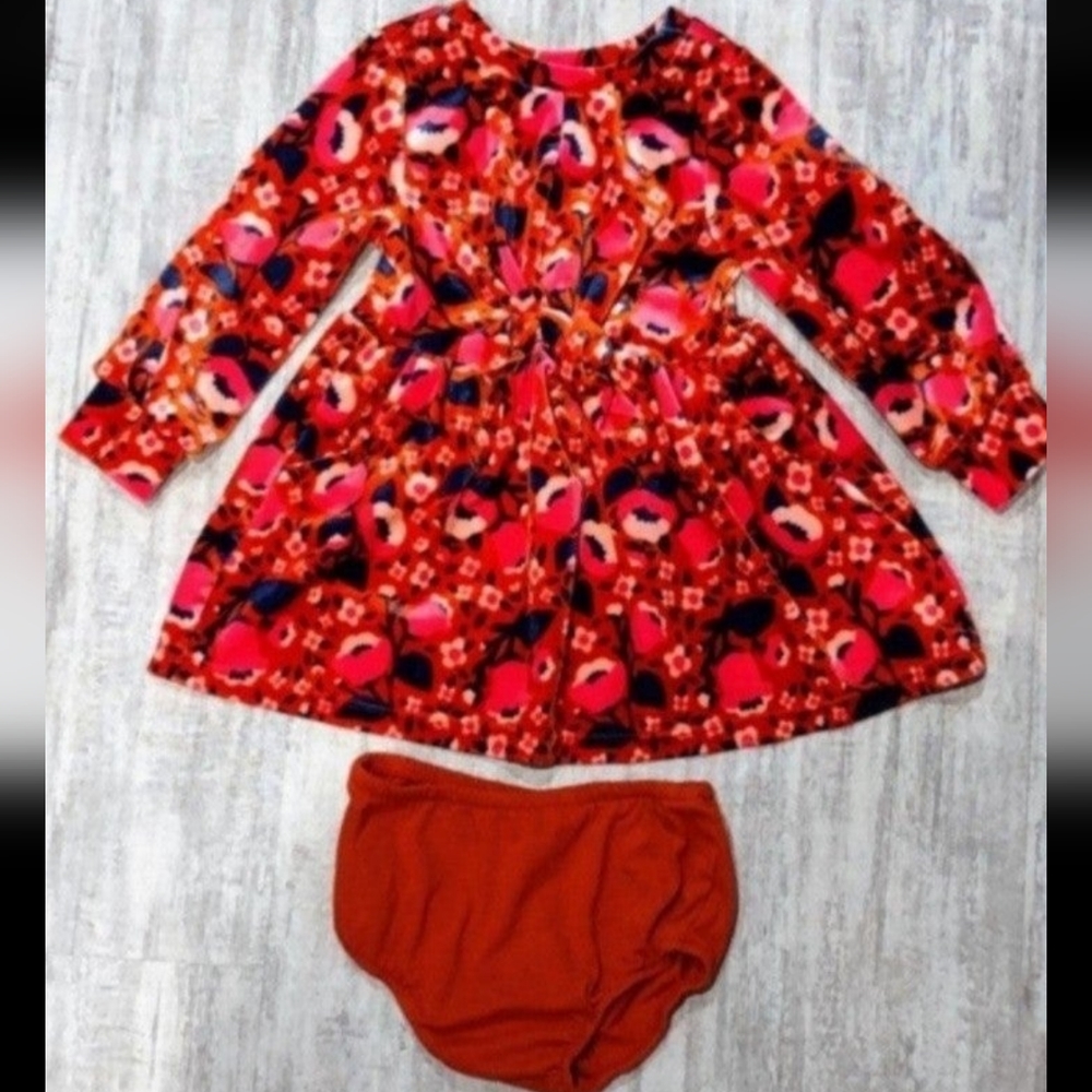 Cat & Jack Baby Girl Velour Floral Dress & Bloomers